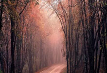 pg娱乐城:田径——南京室内世锦赛:梁小静晋级女子60米决赛.