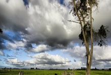 [德甲]罗伊斯告别多特蒙德 12年黄黑生涯即将落幕.