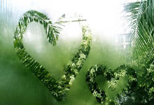 “十五运”女排成年组资格赛激战继续 天津渤海银行女排击败山东队.