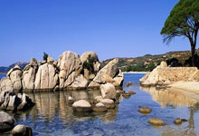 状态火热阿丽娜 首夺迈阿密赛冠军.